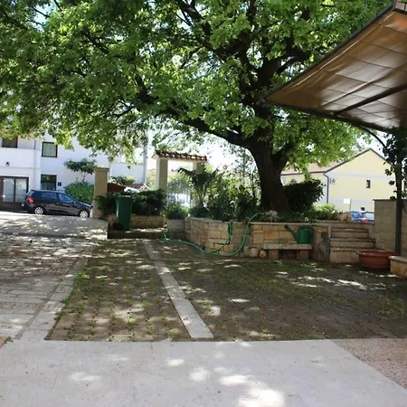 Maras * Porec